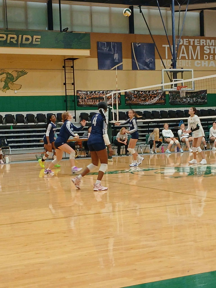 volleyball game