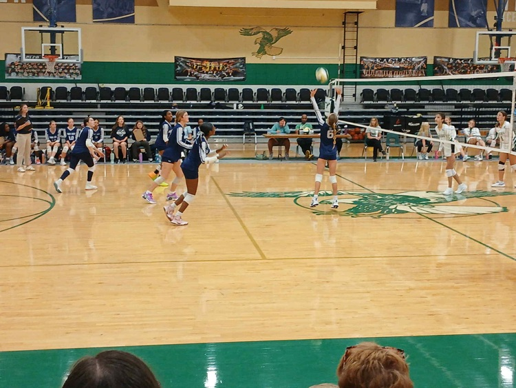 volleyball game