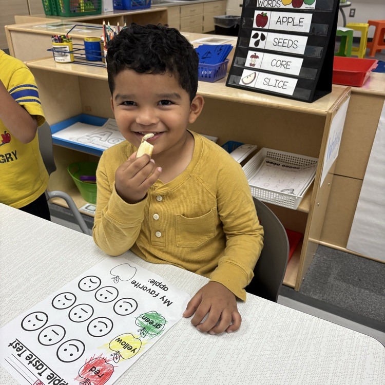 4k apple tasting 