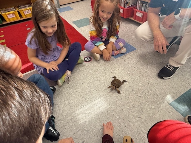 USC Upstate’s Watershed visited 1st grade today. They observed some different animals and their adaptations that help them survive.