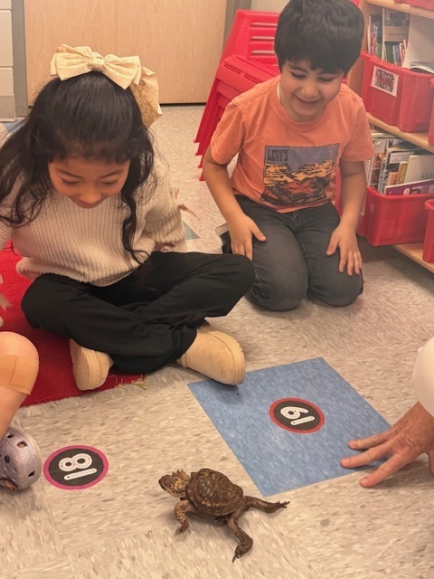 USC Upstate’s Watershed visited 1st grade today. They observed some different animals and their adaptations that help them survive.