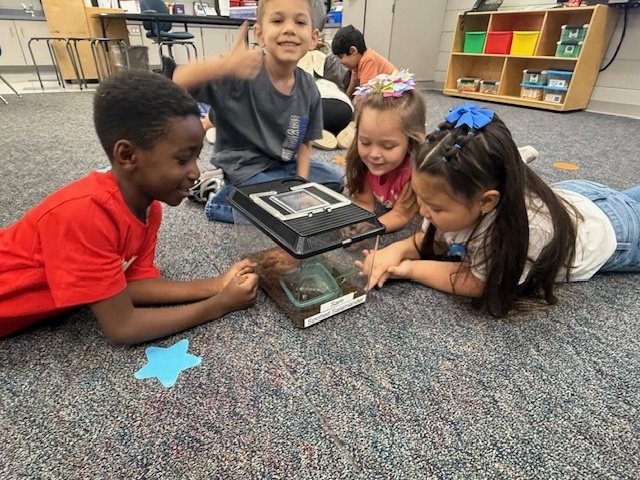 USC Upstate’s Watershed visited 1st grade today. They observed some different animals and their adaptations that help them survive.