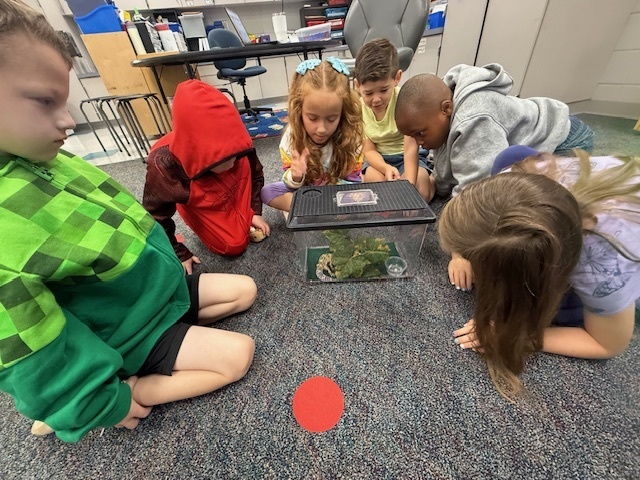 USC Upstate’s Watershed visited 1st grade today. They observed some different animals and their adaptations that help them survive.