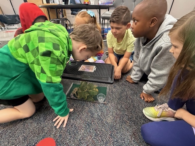 USC Upstate’s Watershed visited 1st grade today. They observed some different animals and their adaptations that help them survive.