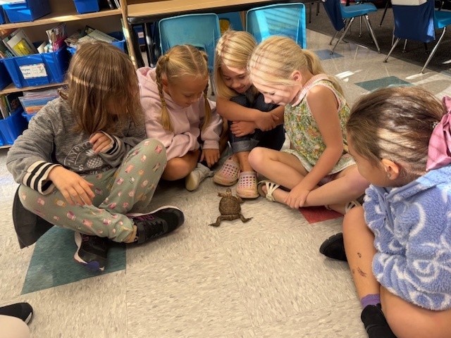 USC Upstate’s Watershed visited 1st grade today. They observed some different animals and their adaptations that help them survive.