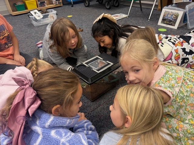 USC Upstate’s Watershed visited 1st grade today. They observed some different animals and their adaptations that help them survive.