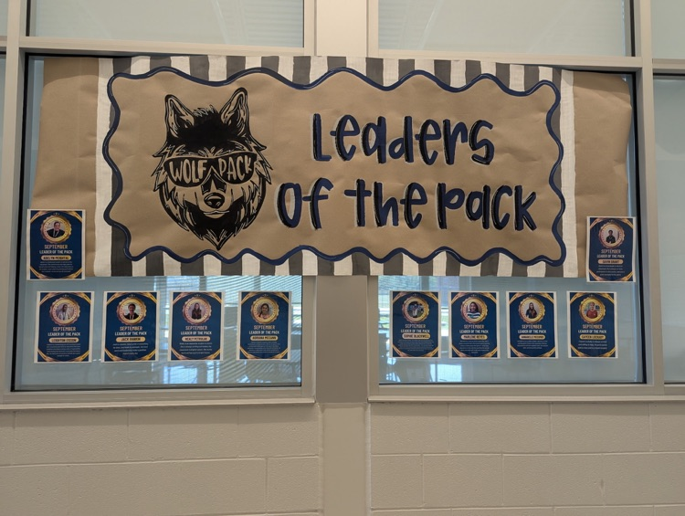 leaders of the pack display