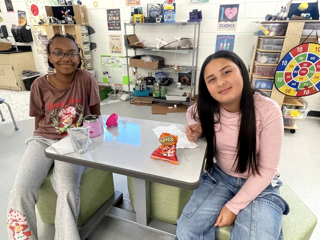 paw patrol lunch and learn