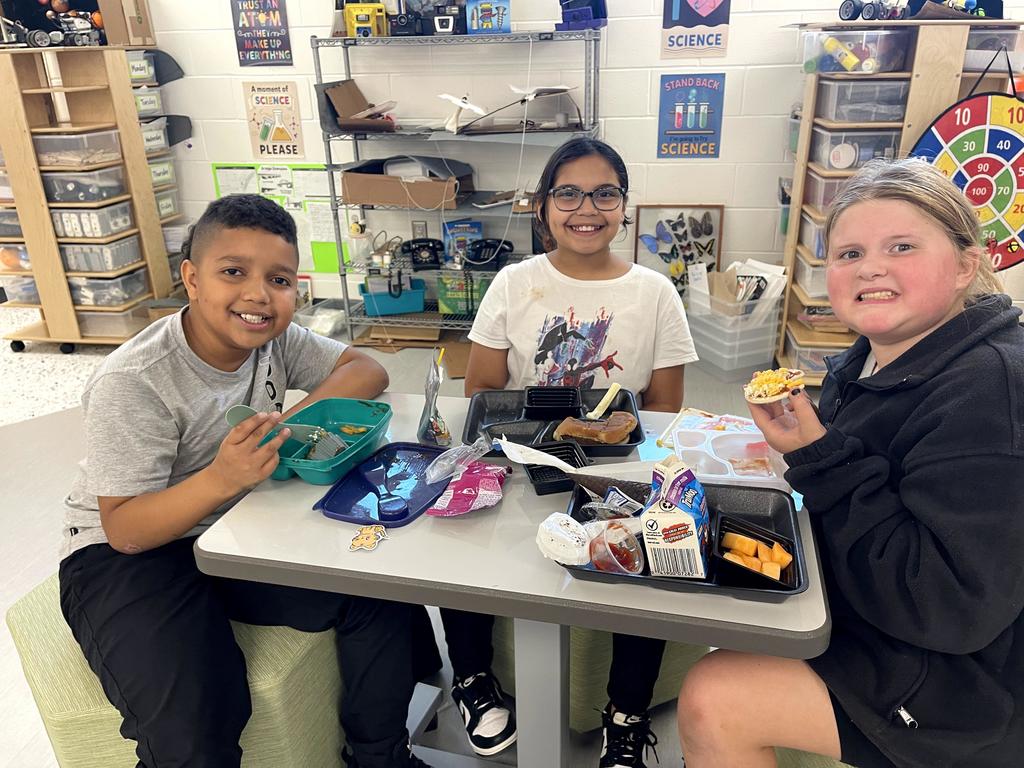 paw patrol lunch and learn