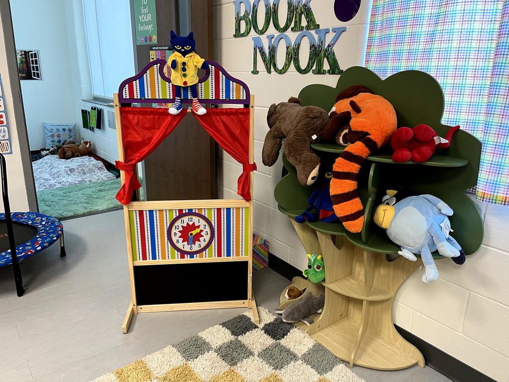 williamson donors choose