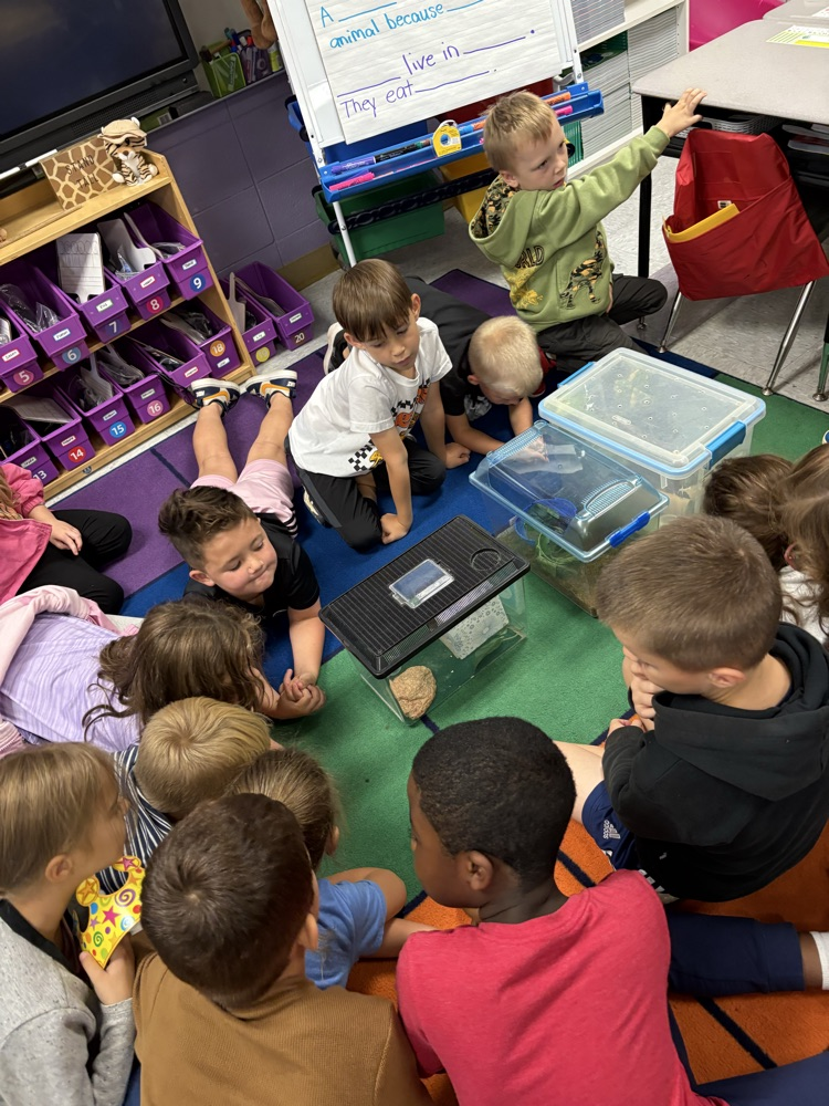 watershed program 