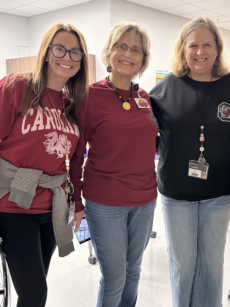 teachers dressed in team gear