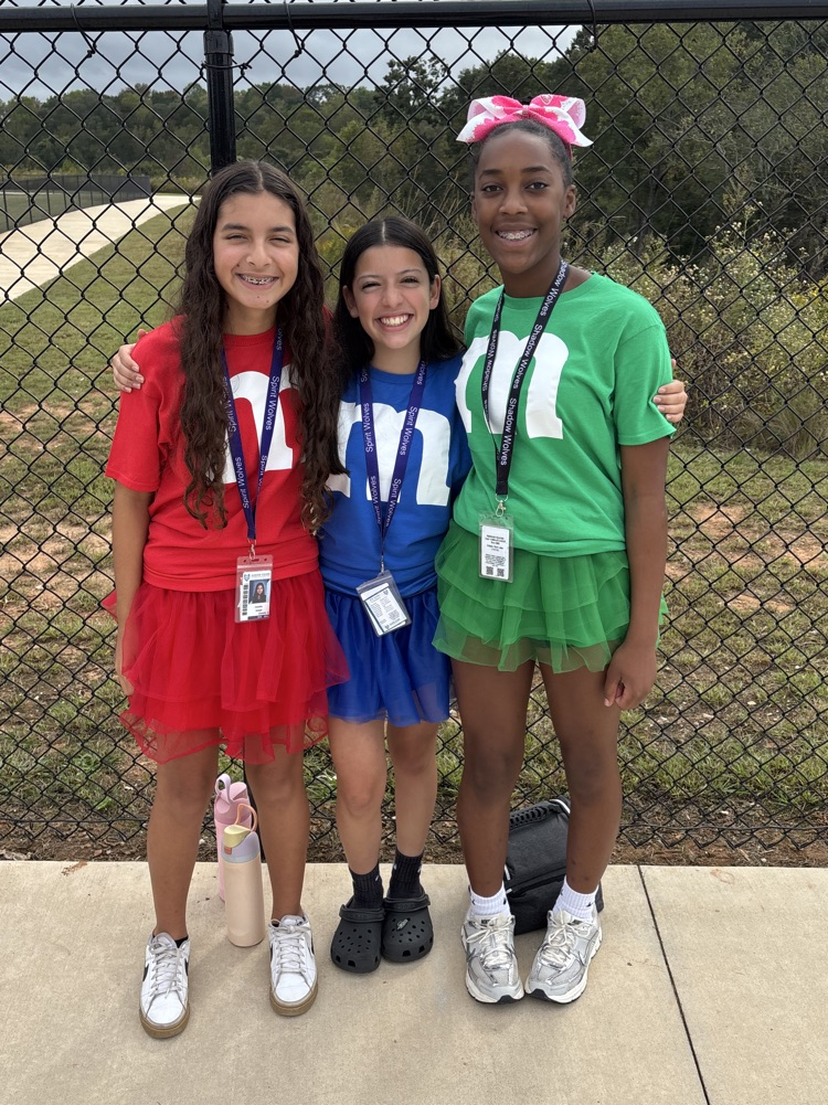 students twinning