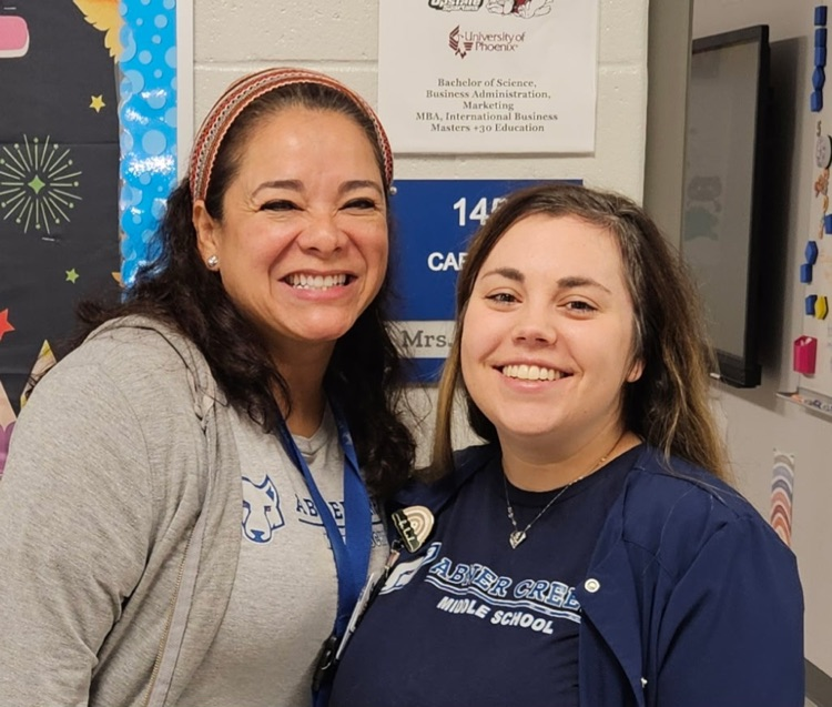 teachers twinning