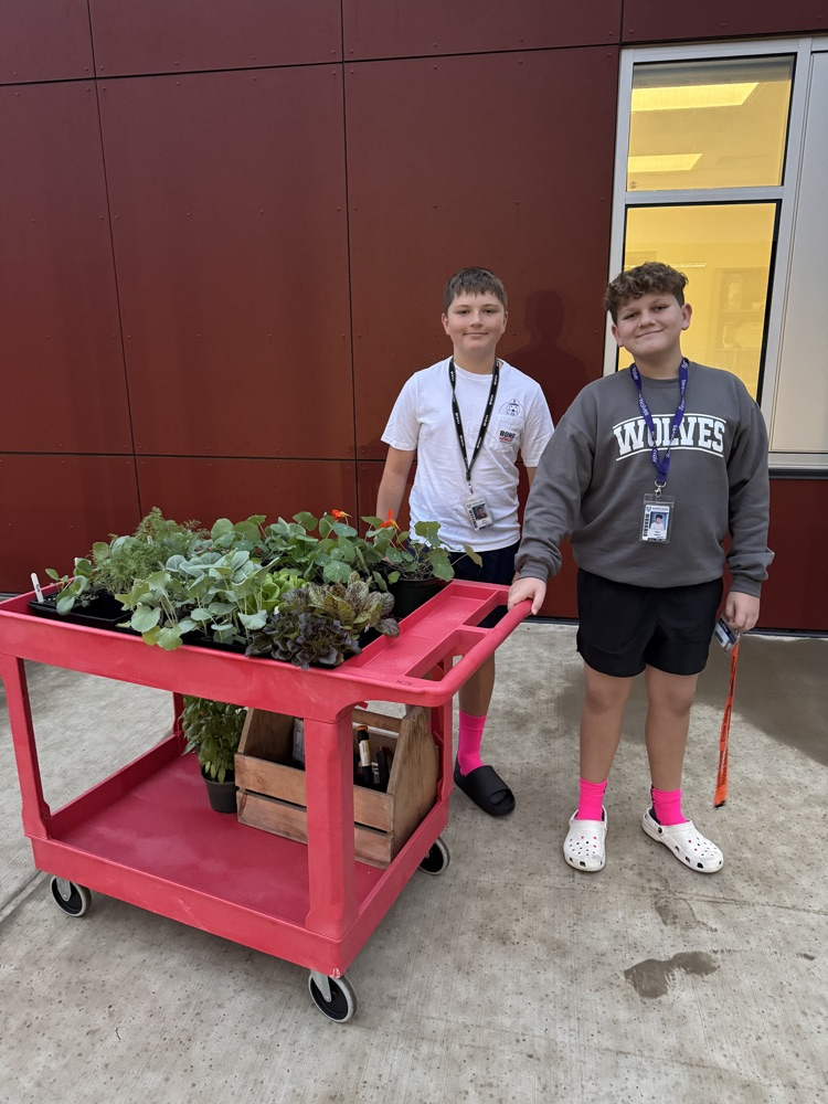 kids with plants