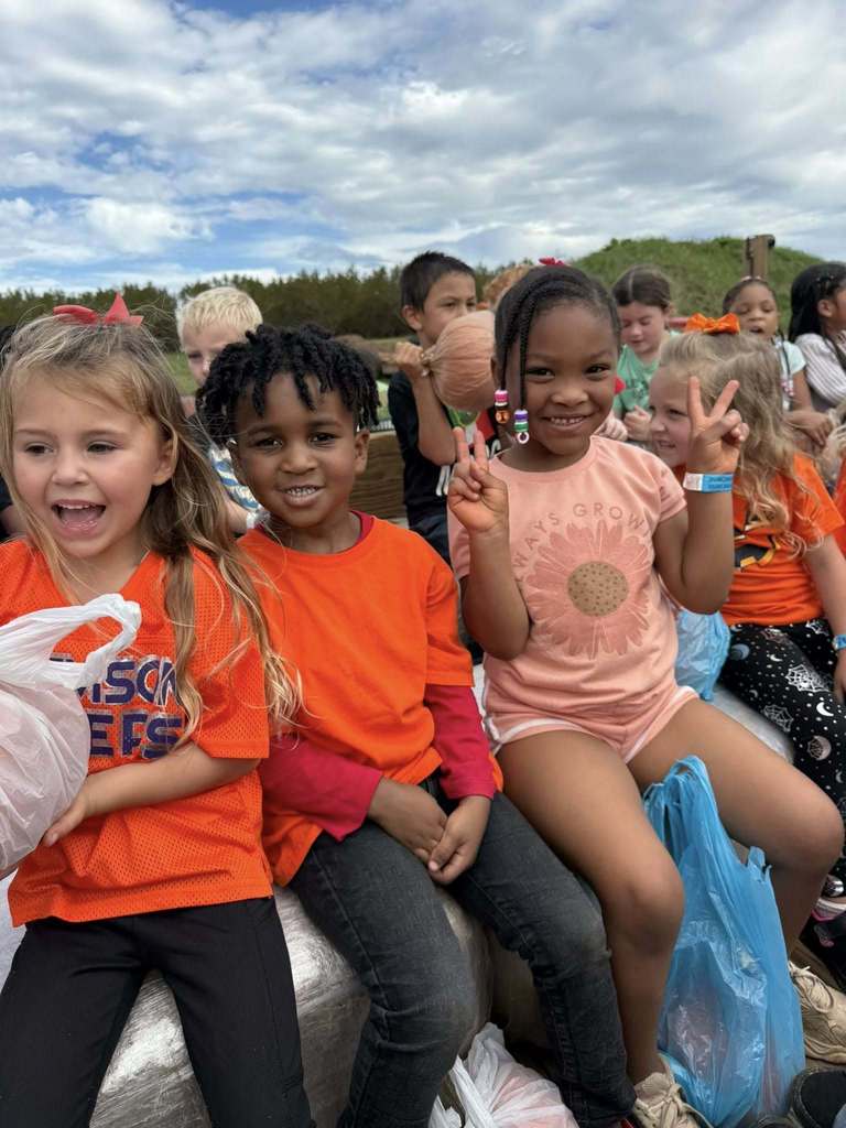 Pumpkin patch
