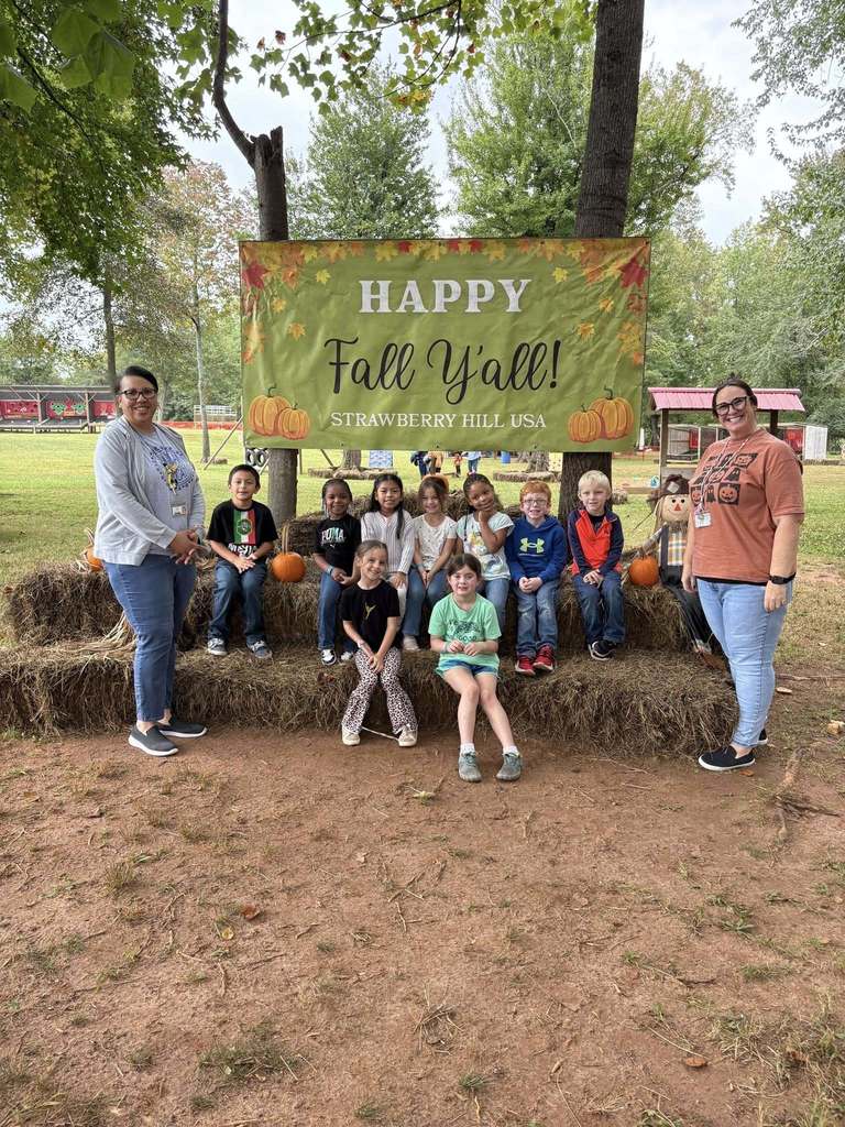 Pumpkin patch