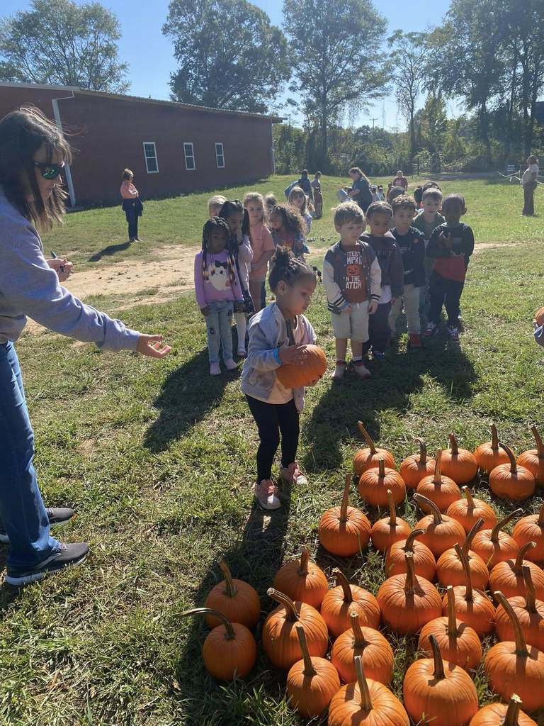 Pumpkin patch