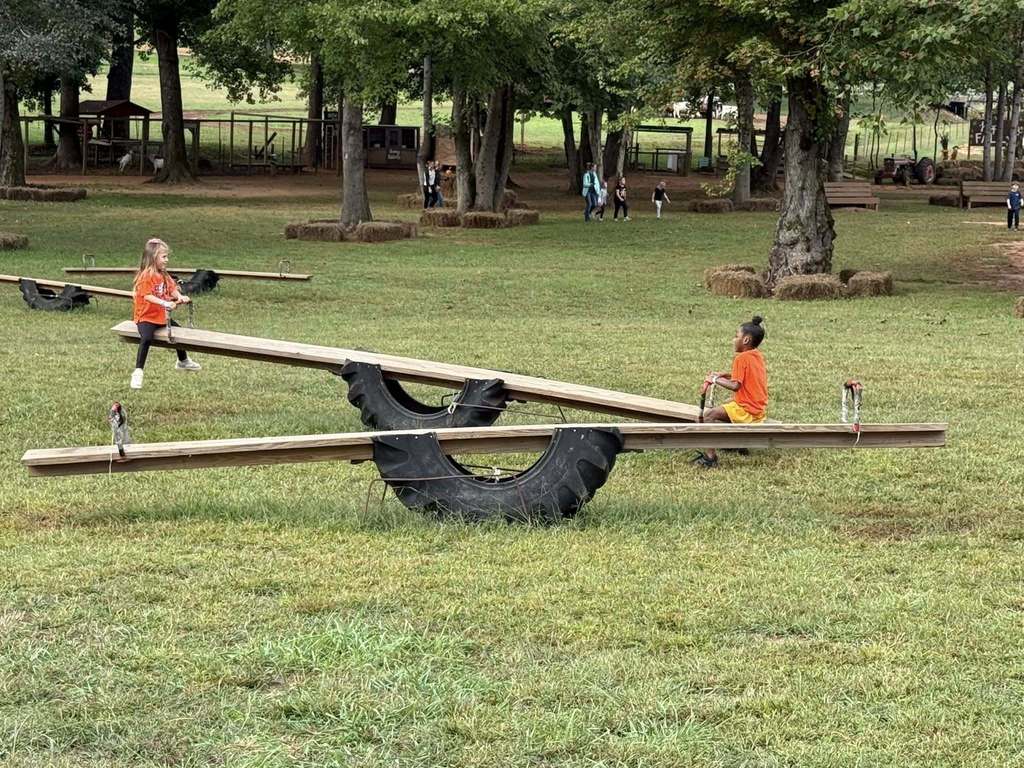 Pumpkin patch