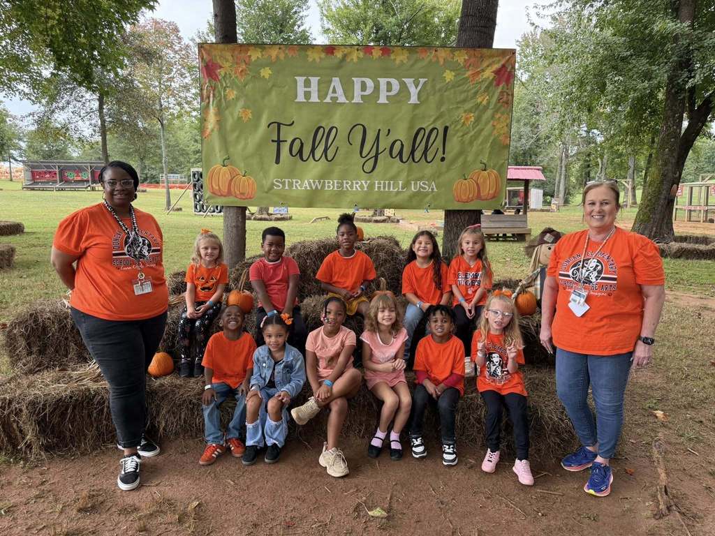 Pumpkin patch