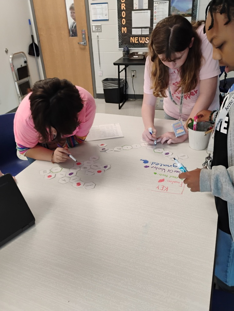 students using hexagonal thinking