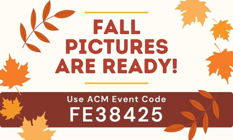 picture image and code