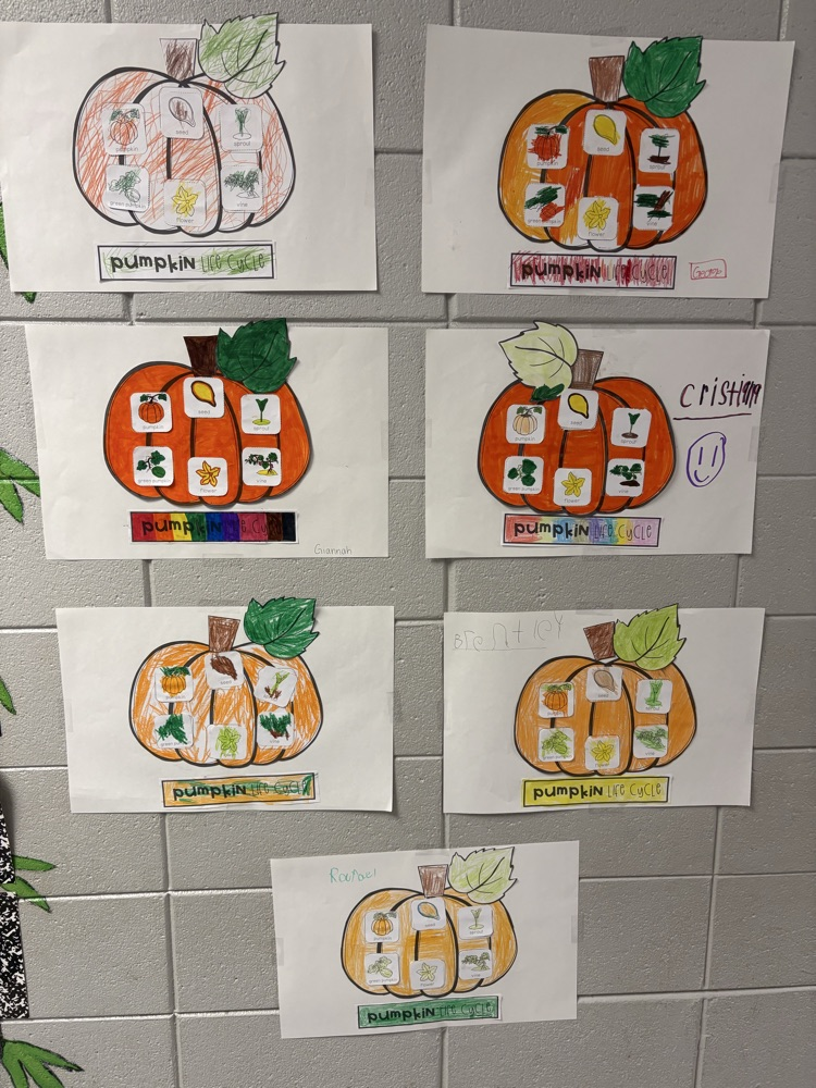 the pumpkin life cycle.