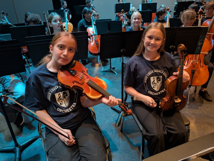 Orchestra students at a concert