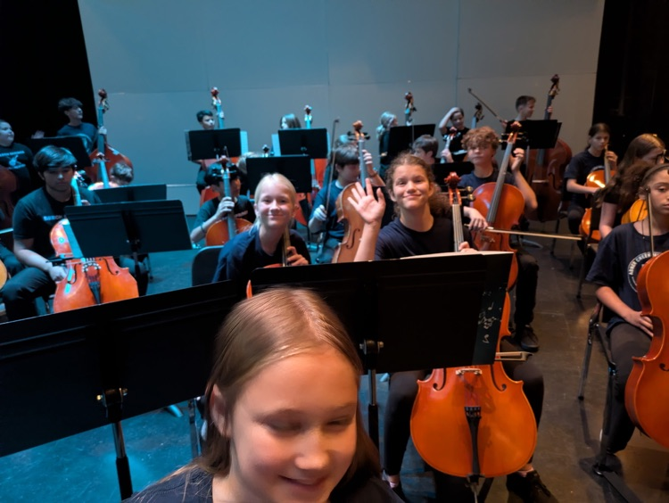 Orchestra students at a concert