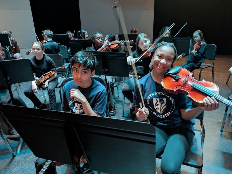 Orchestra students at a concert