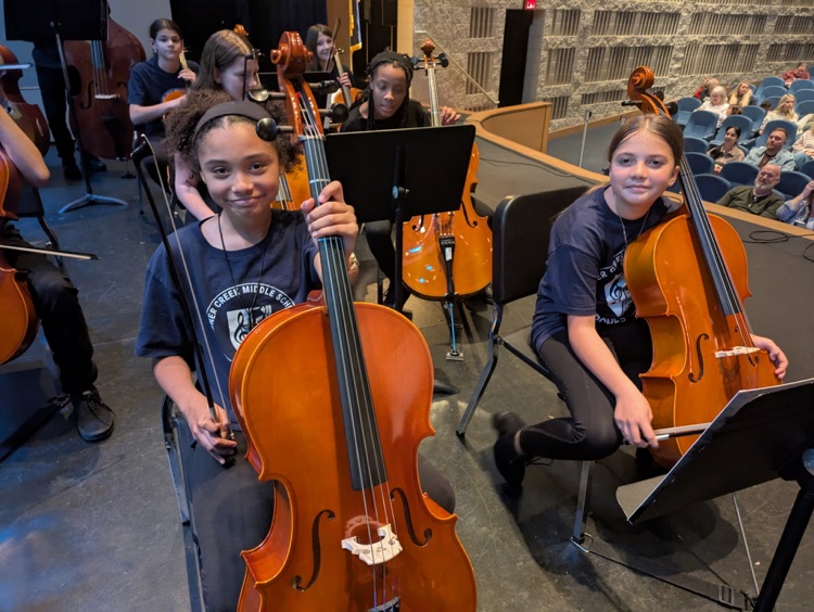 Orchestra students at a concert