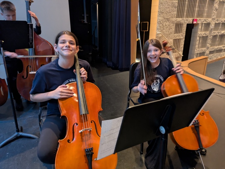Orchestra students at a concert