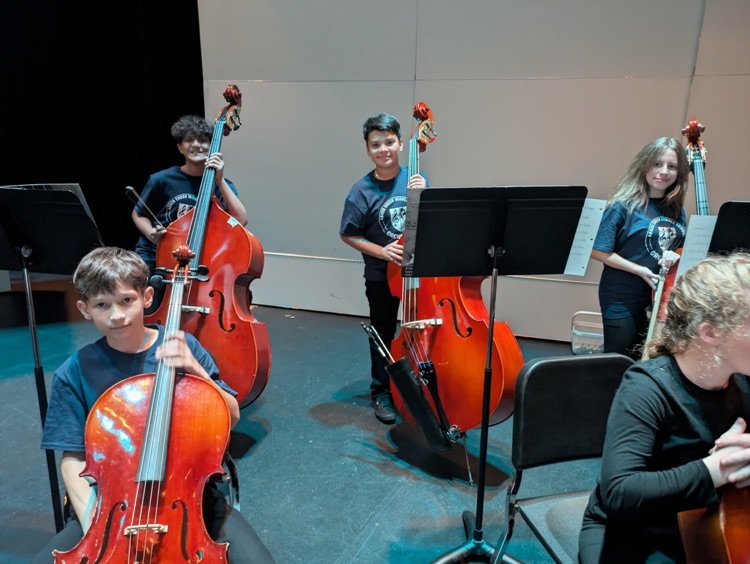 Orchestra students at a concert