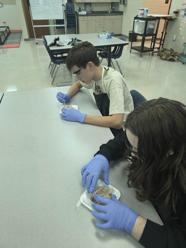 Mrs. Campbell's Class