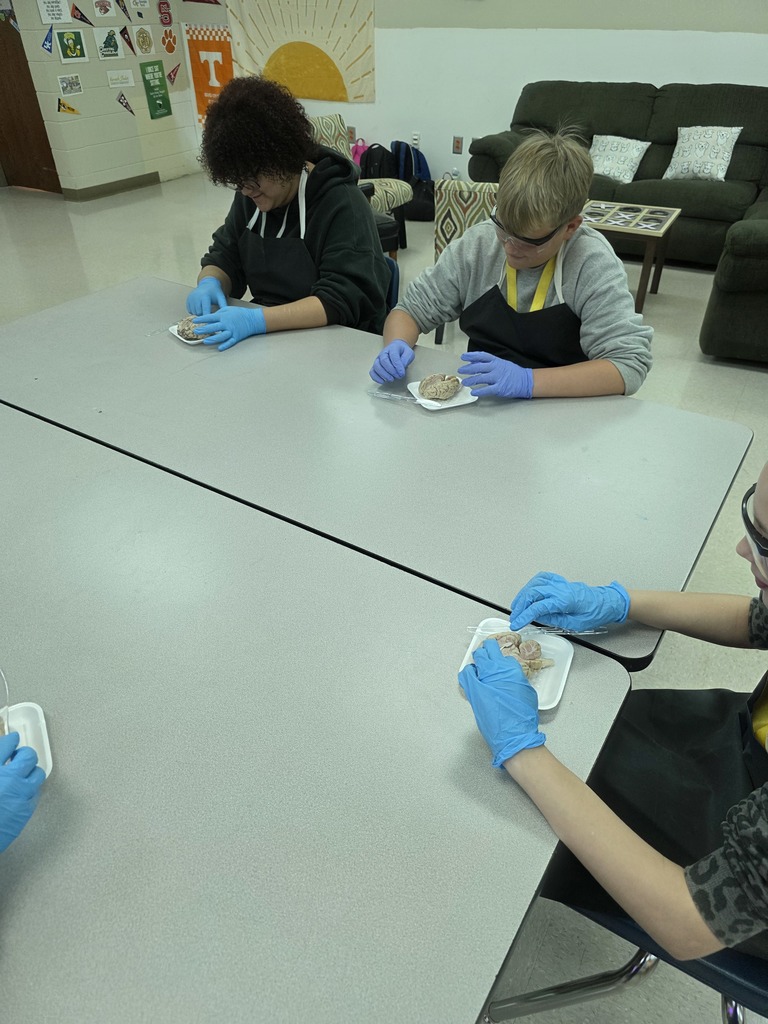 Mrs. Campbell's Class