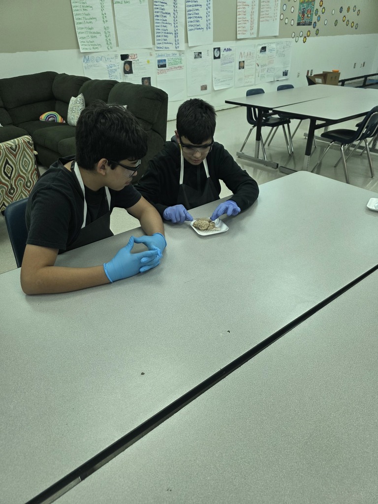 Mrs. Campbell's Class