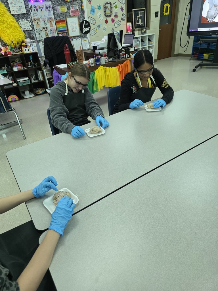 Mrs. Campbell's Class