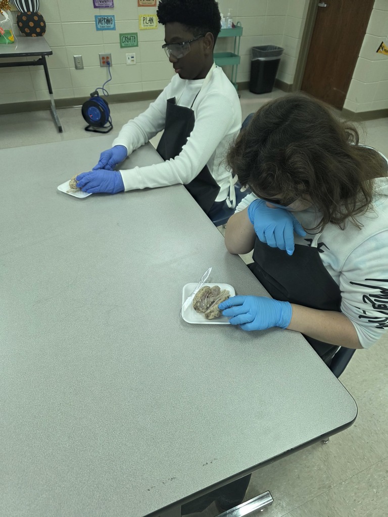 Mrs. Campbell's Class