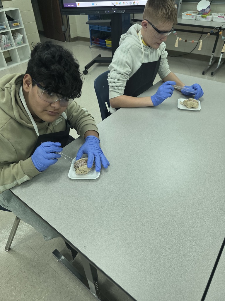 Mrs. Campbell's Class