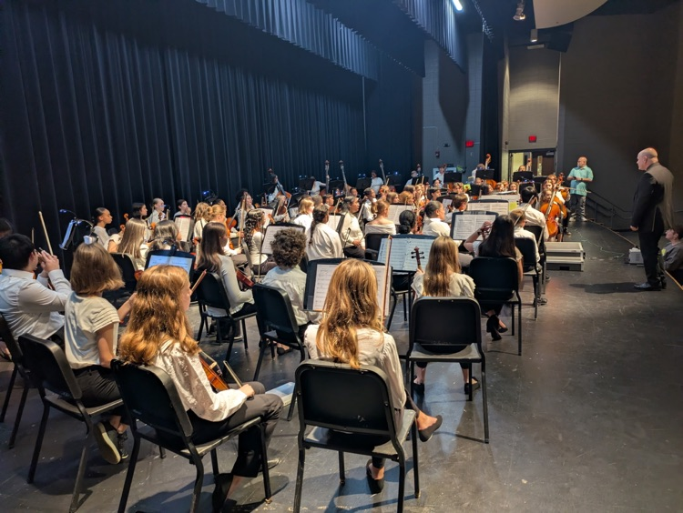 Orchestra students