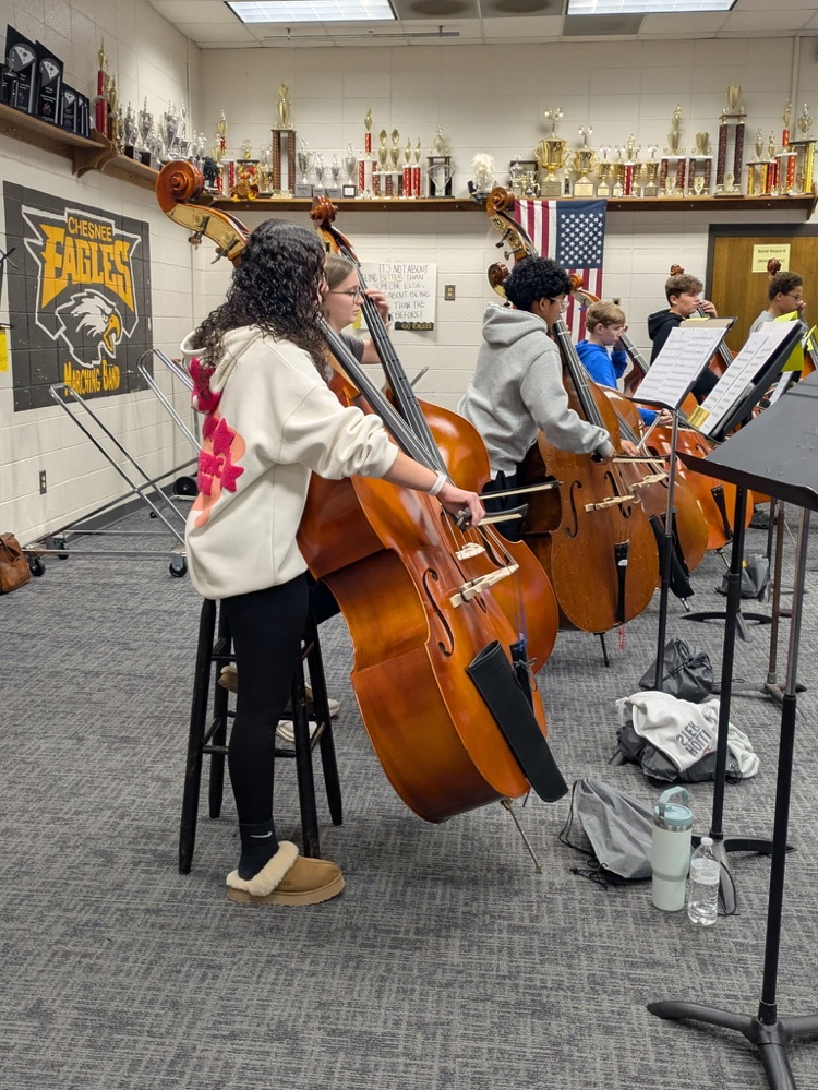 Orchestra students