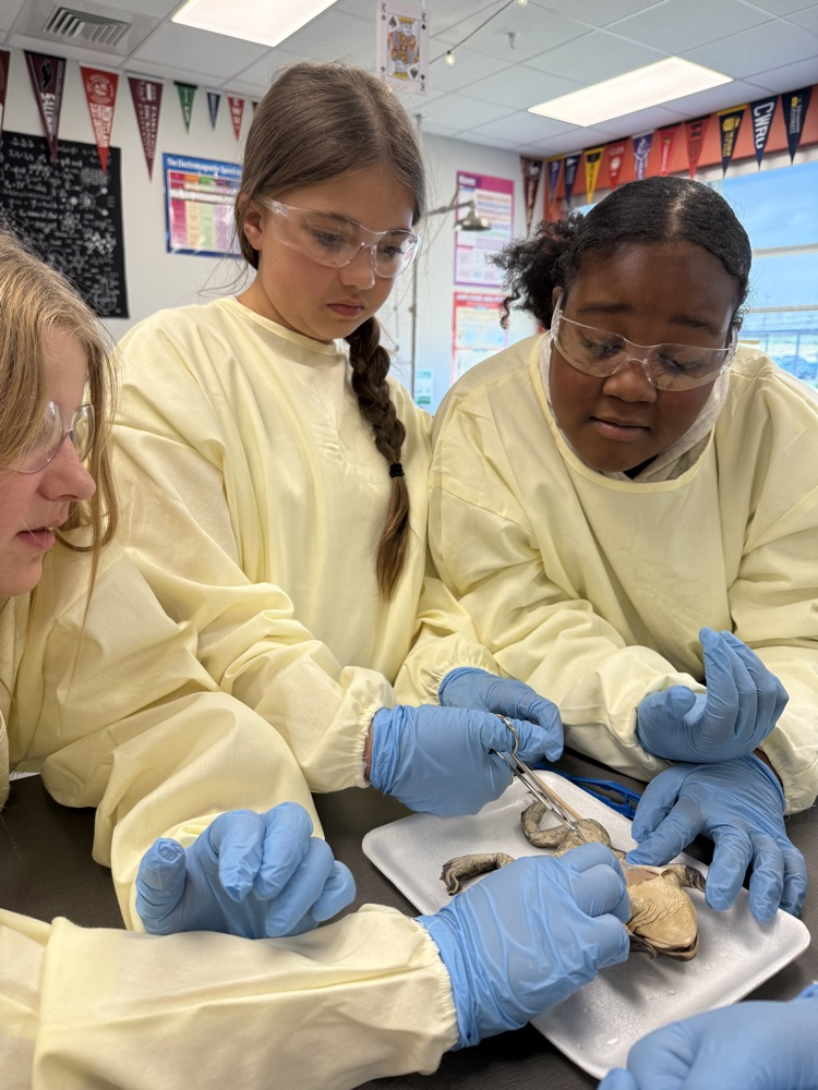 kids dissecting frogs