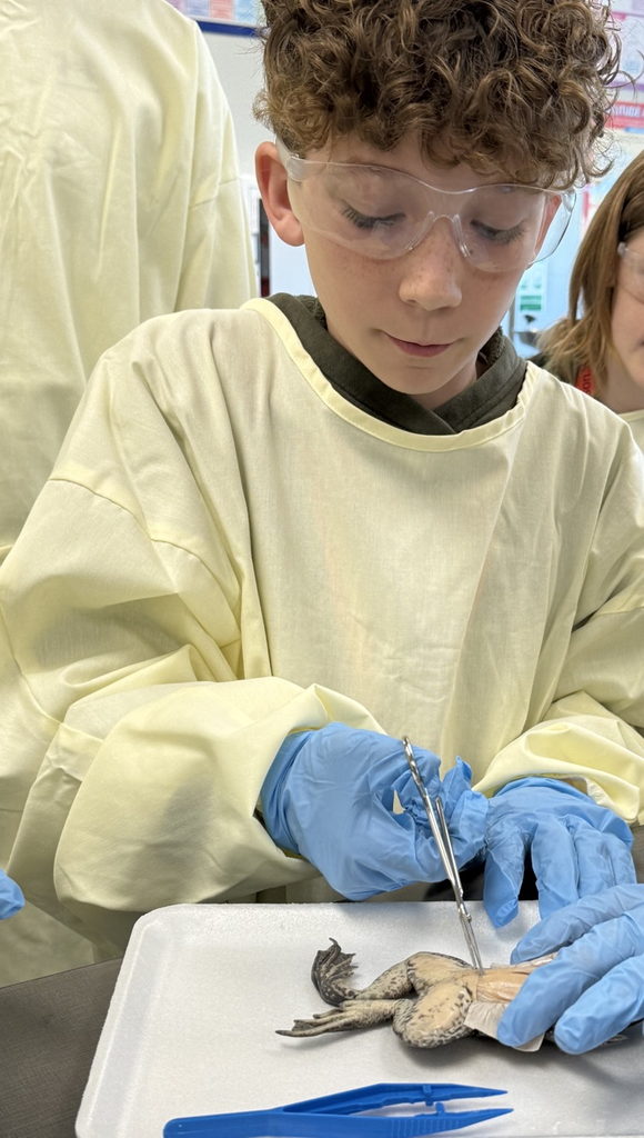 kids dissecting frogs