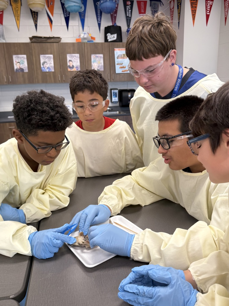 kids dissecting frogs