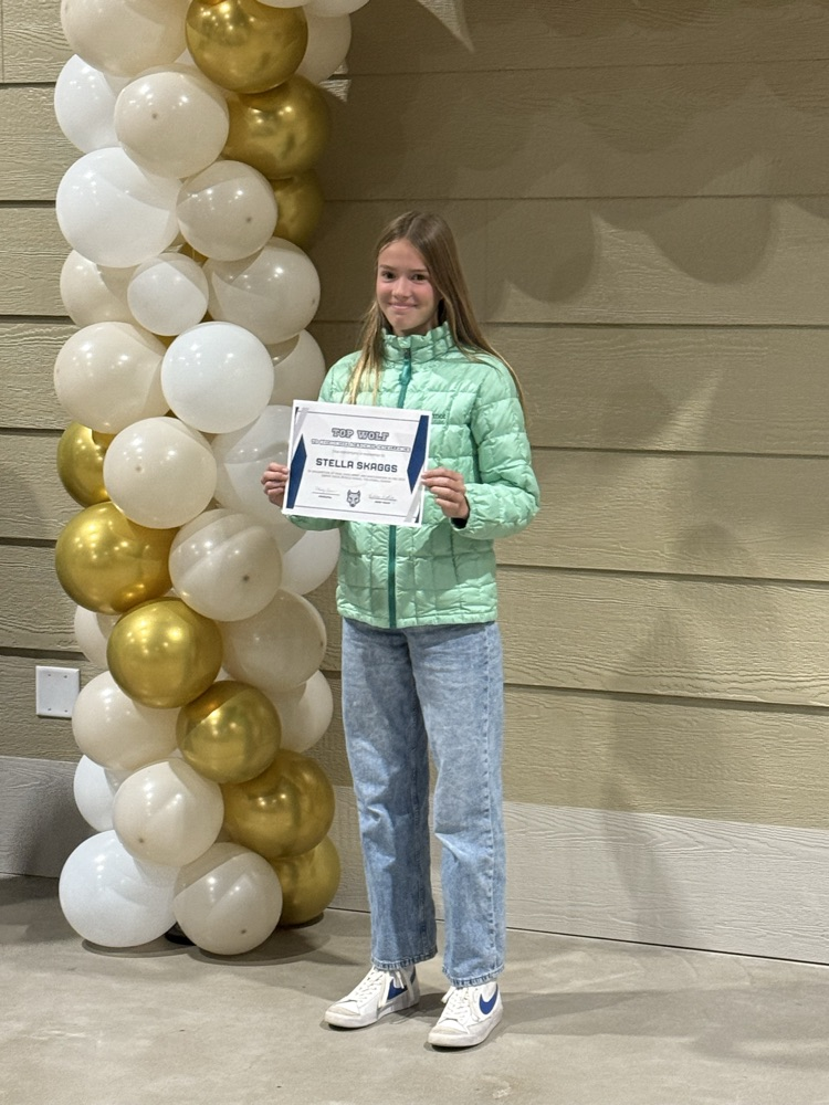 volleyball girls with awards 