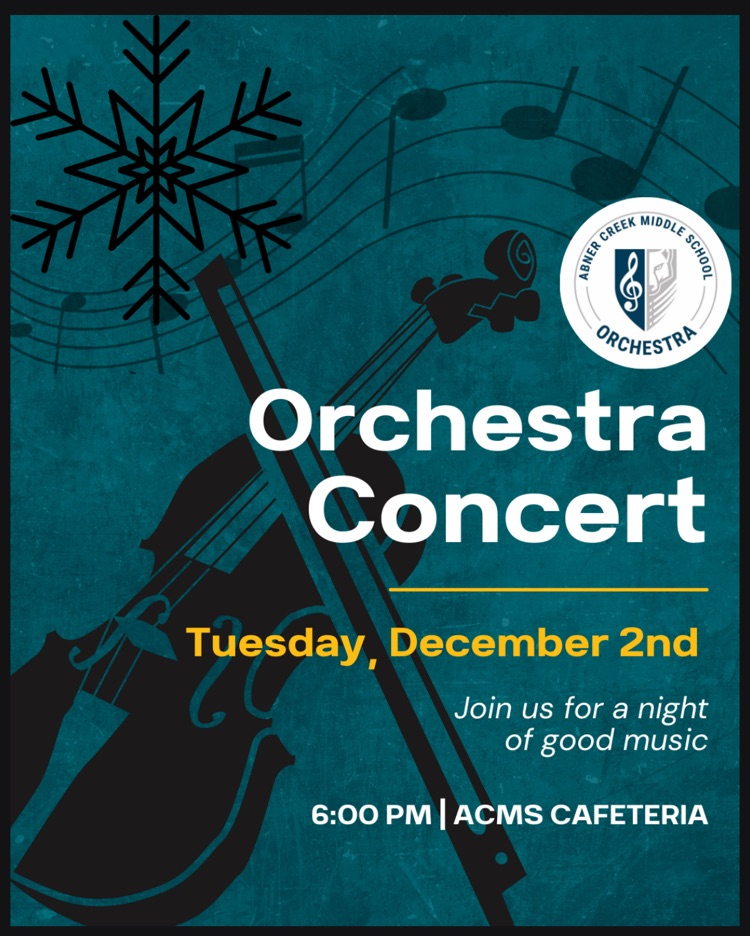 Orchestra flyer