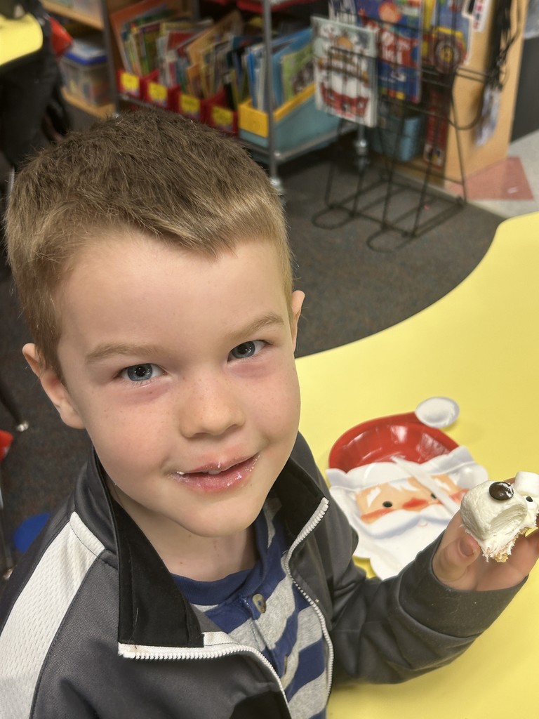 K5 class studied about polar bears