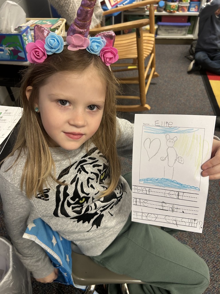 K5 class studied about polar bears