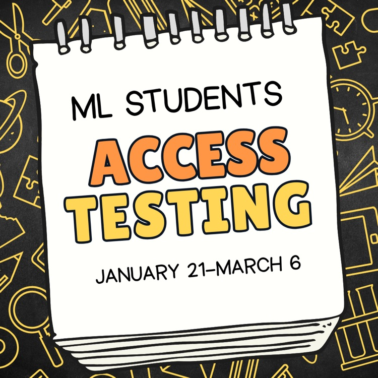 access testing