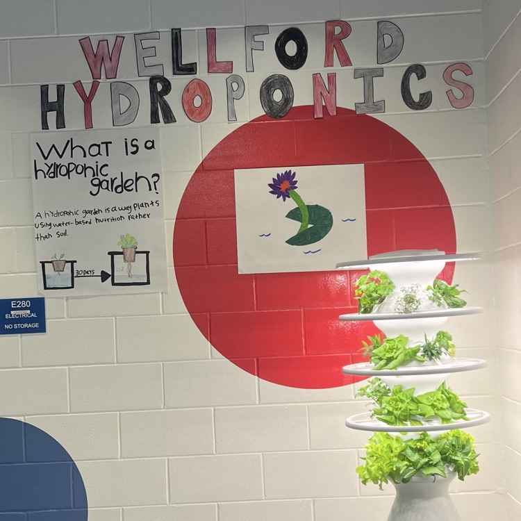 hydro plants 